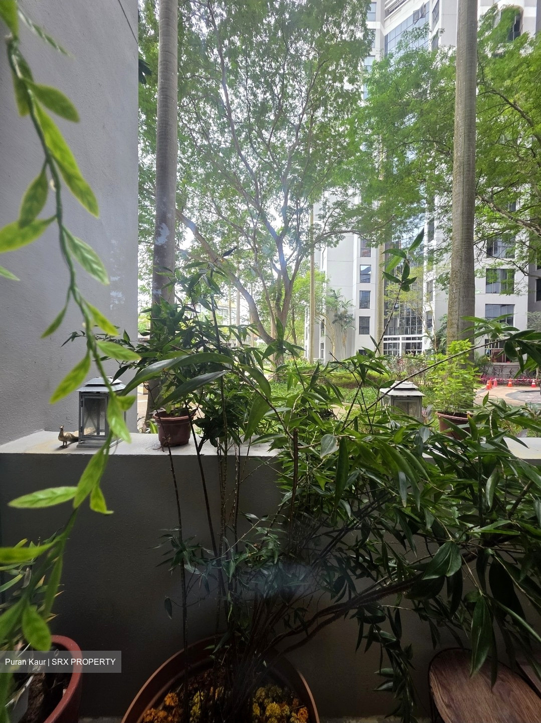 The Bayshore (D16), Condominium #532666001